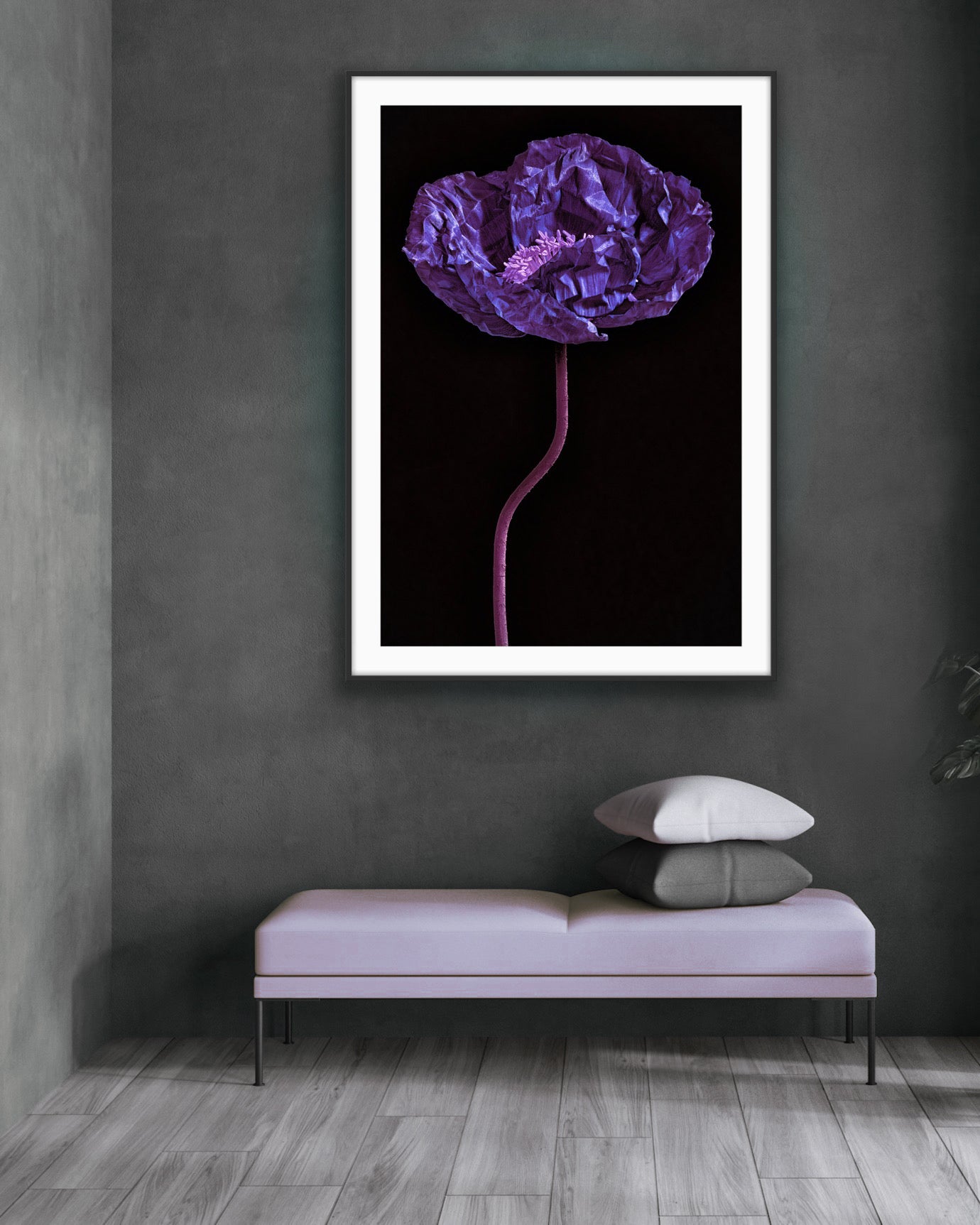 TheViolet